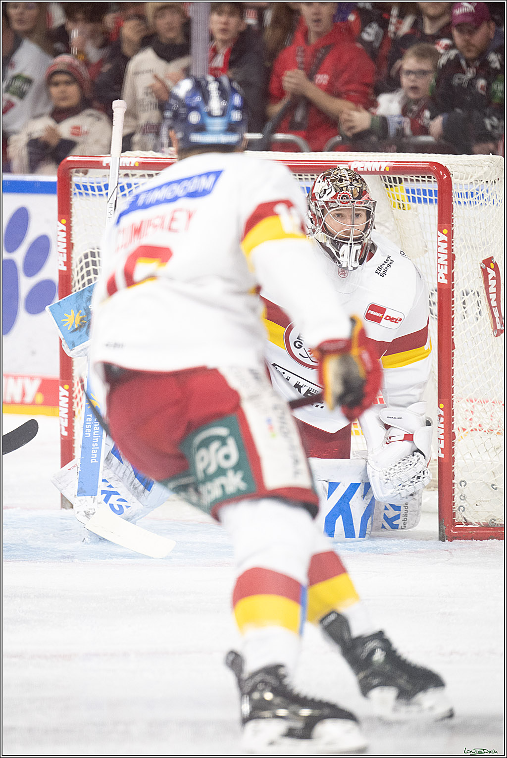 PENNY DEL; Koelner Haie-Duesseldorfer EG ; Koeln, 16.02.2025